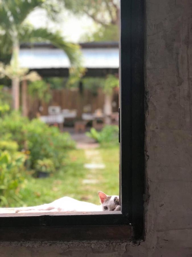 Lanna House Lanna Hut Chiangmai Bed & Breakfast