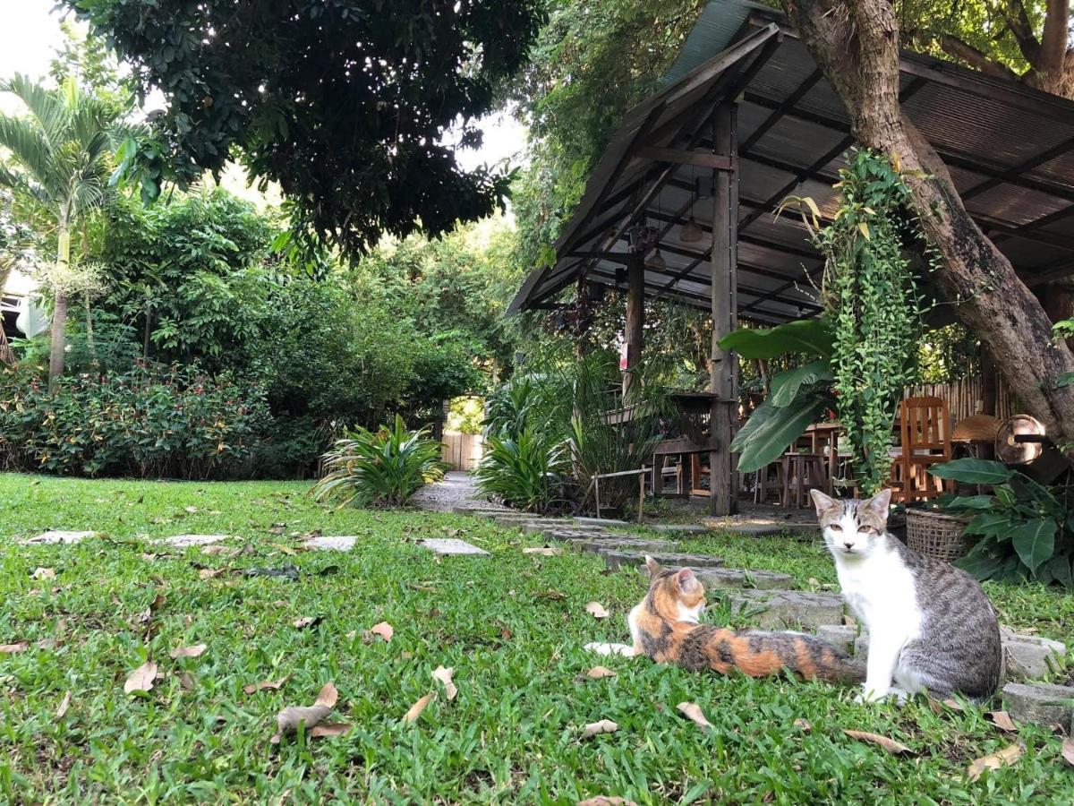 Lanna House Lanna Hut Chiangmai Bed and breakfast
